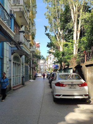 bán nhà phường láng hạ, đống đa - ngõ thông ô tô tránh - dt 55m2 nhà đẹp vừa ở vừa kinh doanh