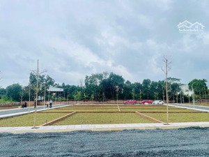 bán gấp dt 100m2 trong tháng trung tâm phú cát, gần ql21 và tuyến ga metro có thể xây cho thuê