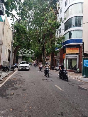 24 tỷ - mặt phố kim mã-sơn tây, 65mx, 5 tầng, vỉa hè rộng, kinh doanh tốt