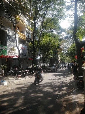 đắc địa siêu kinh doanh mặt phố tô hiệu