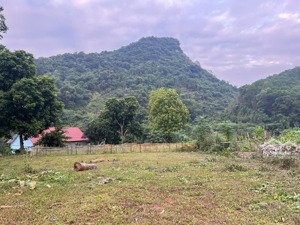 bán đất nghỉ dưỡng view núi cực đẹp cư yên, lương sơn, hòa bình, giá chỉ 2,6 tỷ