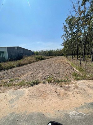 chủ ngộp bán gấp lô đất 10x80m có 100m2 thổ ngay trung tâm định an cũ, giá 950triệu