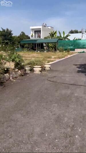 Bán đất Bạch Mai Đồng Thái An Dương Hải Phòng