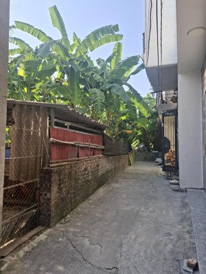 bán đất đông dư xã bát tràng hà nội diện tích : 60m2 * 4,1m * 5,890 tỷ 20m ôtô chánh thông