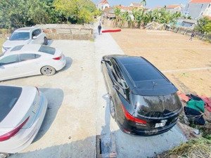 chính chủ nhờ bán 103,5m2 đất ở tại đan kim, văn giang, hưng yên giá chỉ 3xtr/m2, sát dự án alluvia