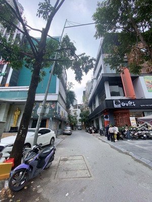 trần phú- kinh doanh sầm uất.
diện tích 90m- mt 7m. giá 25.8 tỷ. giá hợp lý nhất khu vực.