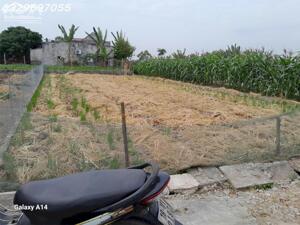 Cần tiền bán nhanh lô đất siêu đẹp trung tâm thị trấn Quất Lâm, Dt 212m2, giá 2,2 tỷ