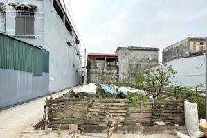 Lô góc 116m2, mt 8,7; trục chính kinh doanh, oto tải tránh nhau, đầu làng Đình Trung, Thư Lâm.