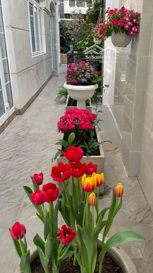 bán biệt thự song lập khu cityland quận 7, hầm, trệt, 3 lầu, 6pn, 220m2 chỉ 55 tỷ