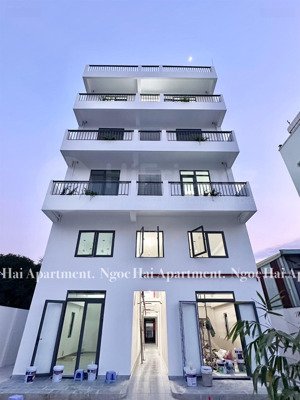 cho thuê căn hộ 1 phòng ngủ banconl tách bếp full nội thất mới 100% ngay vườn lài, q12