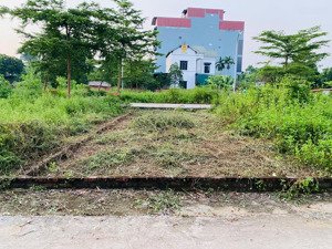 bán đất 60m2 giá siêu hời tại xã tân xã, thạch thất, hà nội. đất 2 mặt tiền