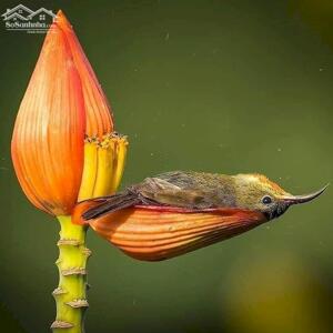 CHO THUÊ VĂN PHÒNG - TÒA NHÀ CAO CẤP MẶT ĐƯỜNG LÊ HỒNG PHONG - LÔ 3A