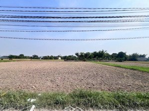 đất đức hoà đông 1/ chợ chiều dt 10x45m giá 3ty