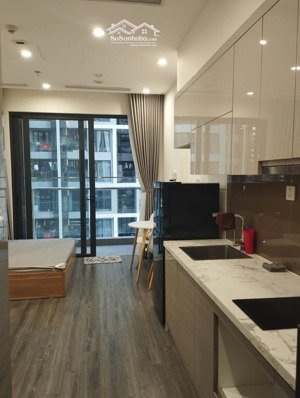 chính chủ cho thuê căn studio the tonkin full đồ trục 02, tầng trung 1x có ban công hướng mát
