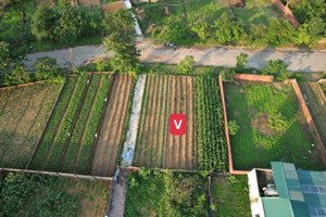 4,x tỷ bán gấp 100m tái định cư vai réo sát vách tổ hợp y tế, công nghệ cao hoà lạc 