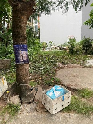 bán 60m2 đất tđc cái hòm lê hồng phong hồ phương lưu, gần apollo, thành phố hải phòng - giá tốt