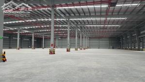 Cho Thuê Kho Xưởng Ngay Khu Cn Vĩnh Lộc 2, Bến Lức. - Diện Tích: 2.200m2 - 4.400m2 - 6.600m2