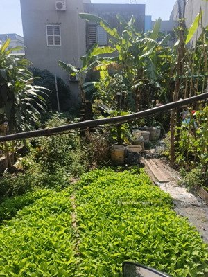 bán nhanh lô đất 51m2 ,mặt tiện hoa hậu 3.9m,chỉ 116tr/m2 ,giá tốt nhất khu vực,lh 