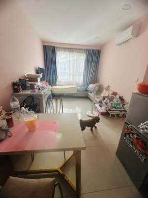 kẹt tiền cần bán gấp căn hộ đg ở topaz elite 2pn2wc chỉ nhỉnh 3ty ngay tttm aeon mall