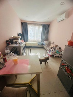 siêu phẩm topaz elite, 60m2, 2pn, 2wc nhà full nt đẹp, giá 3,55 tỷ. lh: ms xinh.