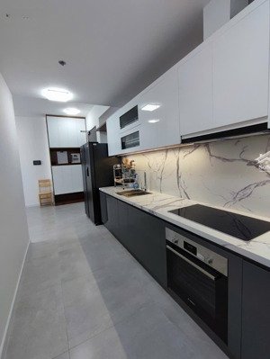 cho thuê gấp căn góc 2pn antonia phú mỹ hưng nhà đẹp mát mẻ