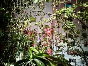 bán cc tại 57 vũ trọng phụng, 8,2 tỷ, 108,2m2, giá siêu hời chính chủ