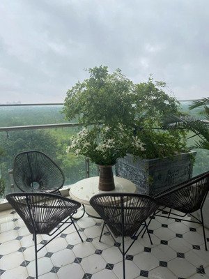 căn hộ park premium: biệt thự trên không 183m, thang máy riêng - đẳng cấp tại kđt ecopark