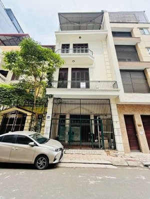 nhà phân lô - 2 thoáng vĩnh viễn - ngõ thông tứ tung