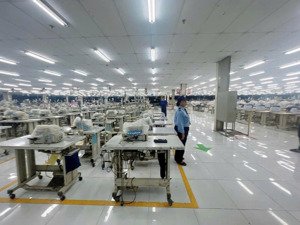 cho thuê kho xưởng may hương lộ 2, mã lò, bình tân, pccc tự động, kv: 10.000m2, x: 7.500m2