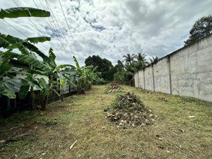 đất trống mặt tiền nguyễn chí thanh, dmc