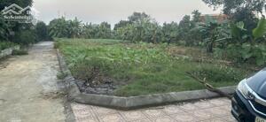 LÔ GÓC, TRỤC CHÍNH 178,7M2 PHÚ CÁT