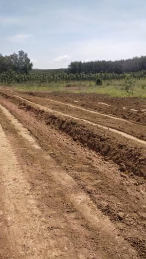 chủ cần ra gấp 4 miếng sổ đỏ đất tân lợi tiềm năng từ 400tr