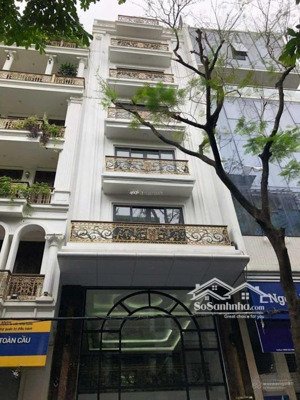 chính chủ cho thuê nhà mới nguyễn huy tưởng - nguyễn tuân, 85m x 5t, mt 6m thông sàn thang máy 37tr