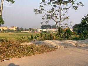 Bán lô 115m2, mt 6m View cánh đồng sau trường Tiểu Học lh_0987673102