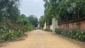 cần bán lô đất 405m2 phú cát, hà nội, vị trí vàng tiềm năng phát triển sinh lời