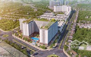 mở bán quỹ ngoại giao 2pn - 3pn flc hausman giá siêu rẻ - chính sách siêu hấp dẫn - ký hđmb nhanh