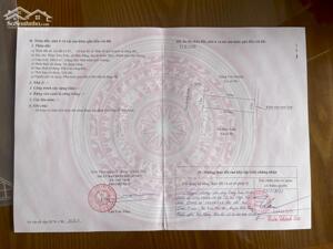 Bán 100m2 ngang 5m đường 11m tại TĐC Tam Kiệt, Hữu Bằng, Kiến Thụy, Hải Phòng