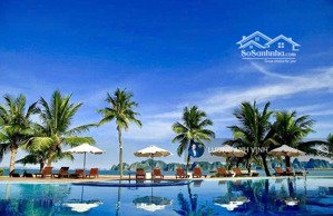 bán đất liền kề, shophouse, biệt thự cao cấp dự án hạ long xanh và tuần châu 