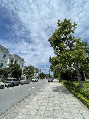 cần bán căn liền kề paris 98m2 hoàn thiện có thang máy, vị trí đẹp đường thông giá 17,5 tỷ