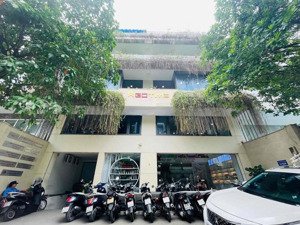 cho thuê nguyên tòa đường đặng thùy trâm, phường 13. dt: 12x20m. hầm, trệt, 3 lầu. trống suốt.