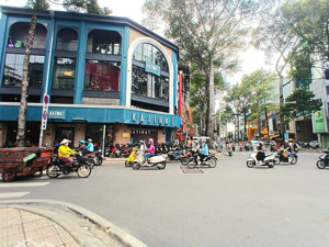 bán gấp xuất cảnh - 22m - 2 tầng - giá 5.6 tỷ - nhà cao đạt quận 5