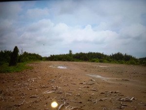 bán đất gò ao, cây lâu năm, gần kênh mới, kênh ông chủ, có nhiều lô liền kề. bán hoặc cho thuê