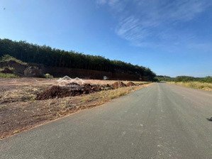 mặt tiền đường nhựa 32m gần kcn bắc đồng phú, đồng nai