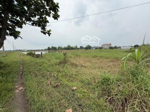 bán đất sổ đỏ chính chủ 241m2 tại mỹ hạnh nam