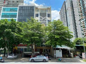 ngộp bank! chủ cần bán toà nhà đẹp đường trương văn bang thạnh mỹ lợi quận 2.dt:8x20m2 giá 99 tỷ.