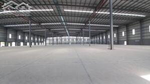 Cho Thuê Nhà Xưởng Gò Dầu, Tây Ninh Giá Rẻ. Tdt 4,8ha Giá 150tr/tháng