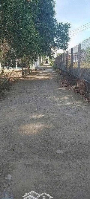 bán lô đất thôn trung an bình sơn quảng ngãi