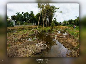 cho thuê nhà kho, xưởng dt (16x20) thuộc kdc tân phú thạnh