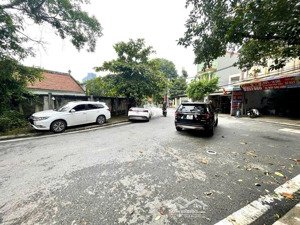 mặt phố gia lâm - kinh doanh sầm uất - đường ô tô tải thông tránh - full thổ cư - mt khủng 9m