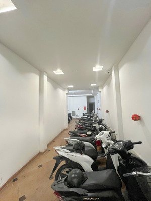 toà nhà 7tầng thang máy oto vào nhà